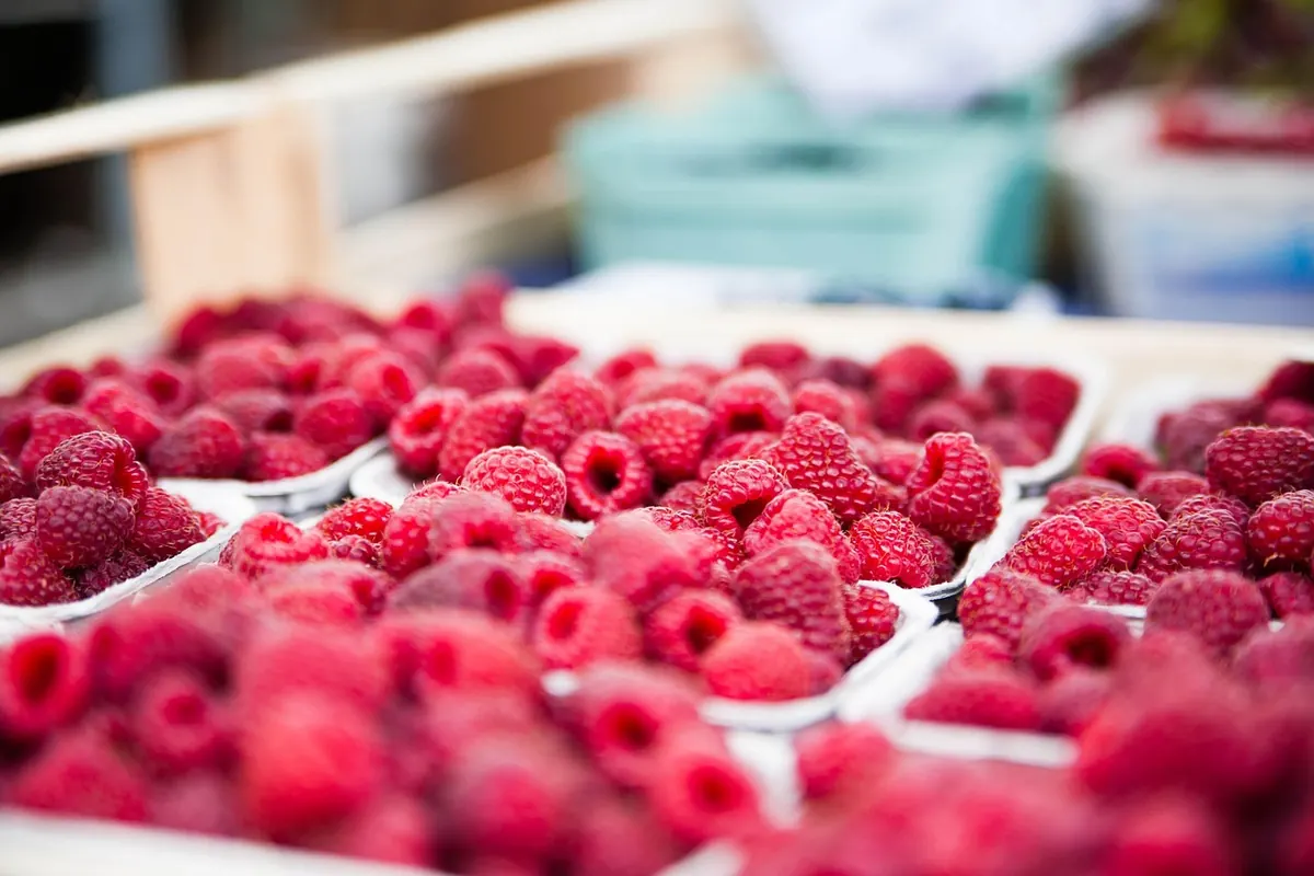 Starting a Market Stall: A Beginner's Guide to Local Markets and Fees